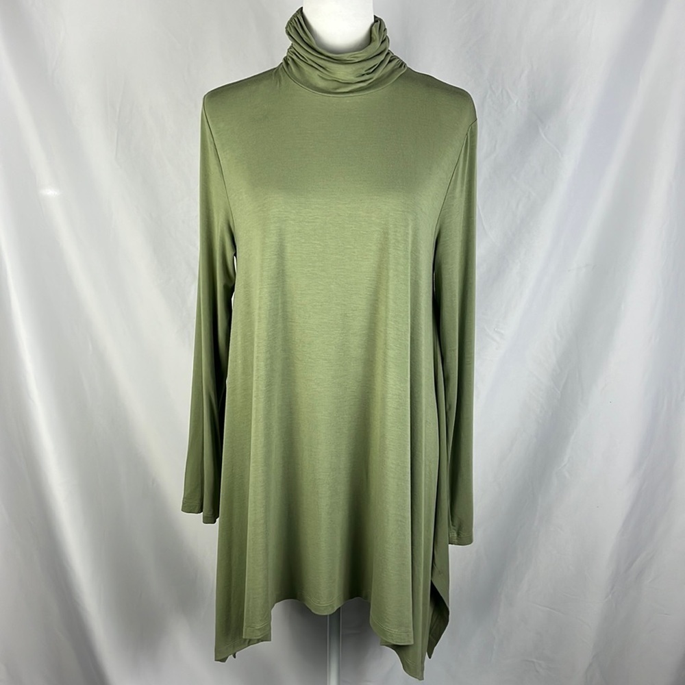 Soft Surroundings Trapeze Timely Turtleneck Green Tunic Top Womens Size L Whimsy